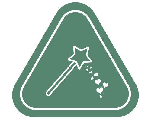 Patient Wish Fund icon — magic wand