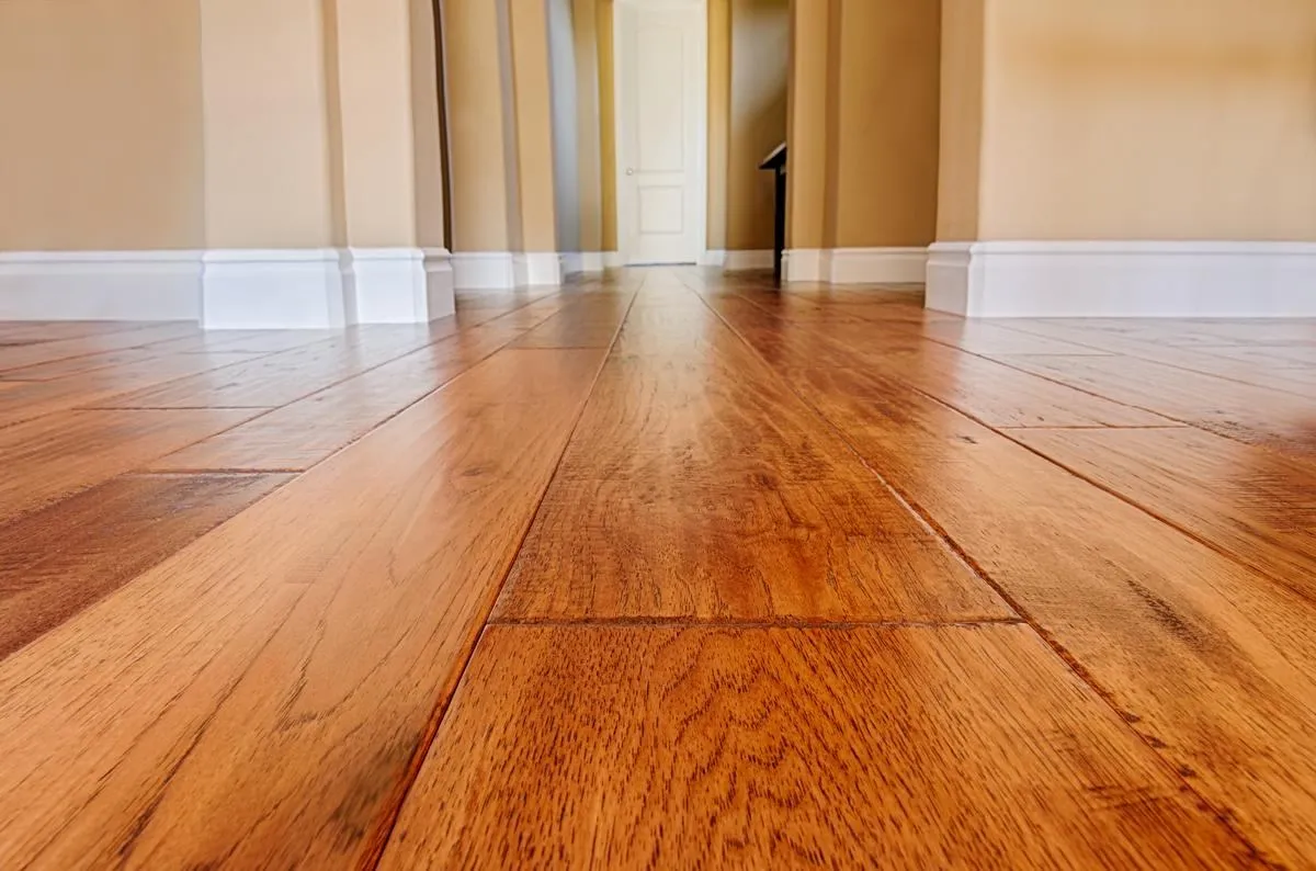 Flooring and floor refinishing service